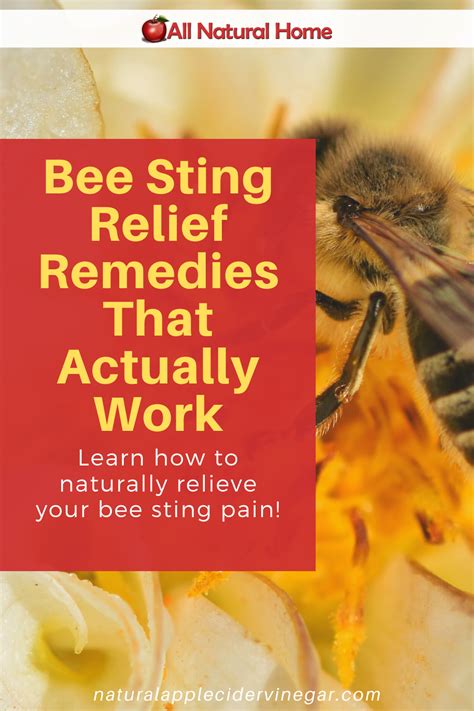 Natural Healing for Moms: Homeopathic Medicine and the Power of Bees